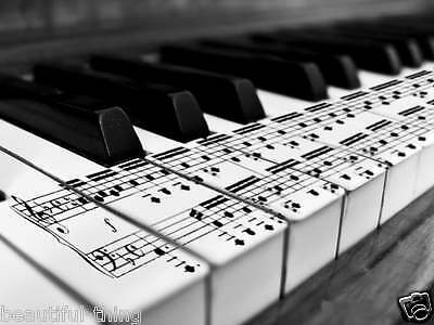 Sheet Music Transcription Arrangement For Piano Voice Vocal