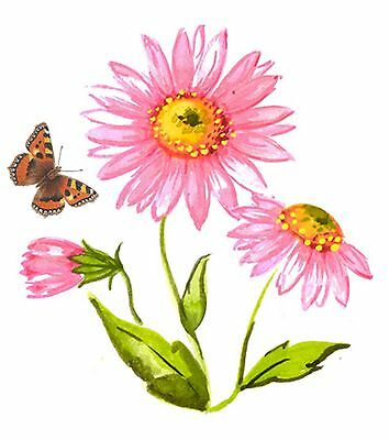 Pink Michaelmas Daisy Monarch Butterfly Select Size Waterslide Ceramic Decals Bx