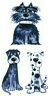 Dumpster Dog Puppy Black Sketch Select-a-size Waterslide Ceramic Decals Bx