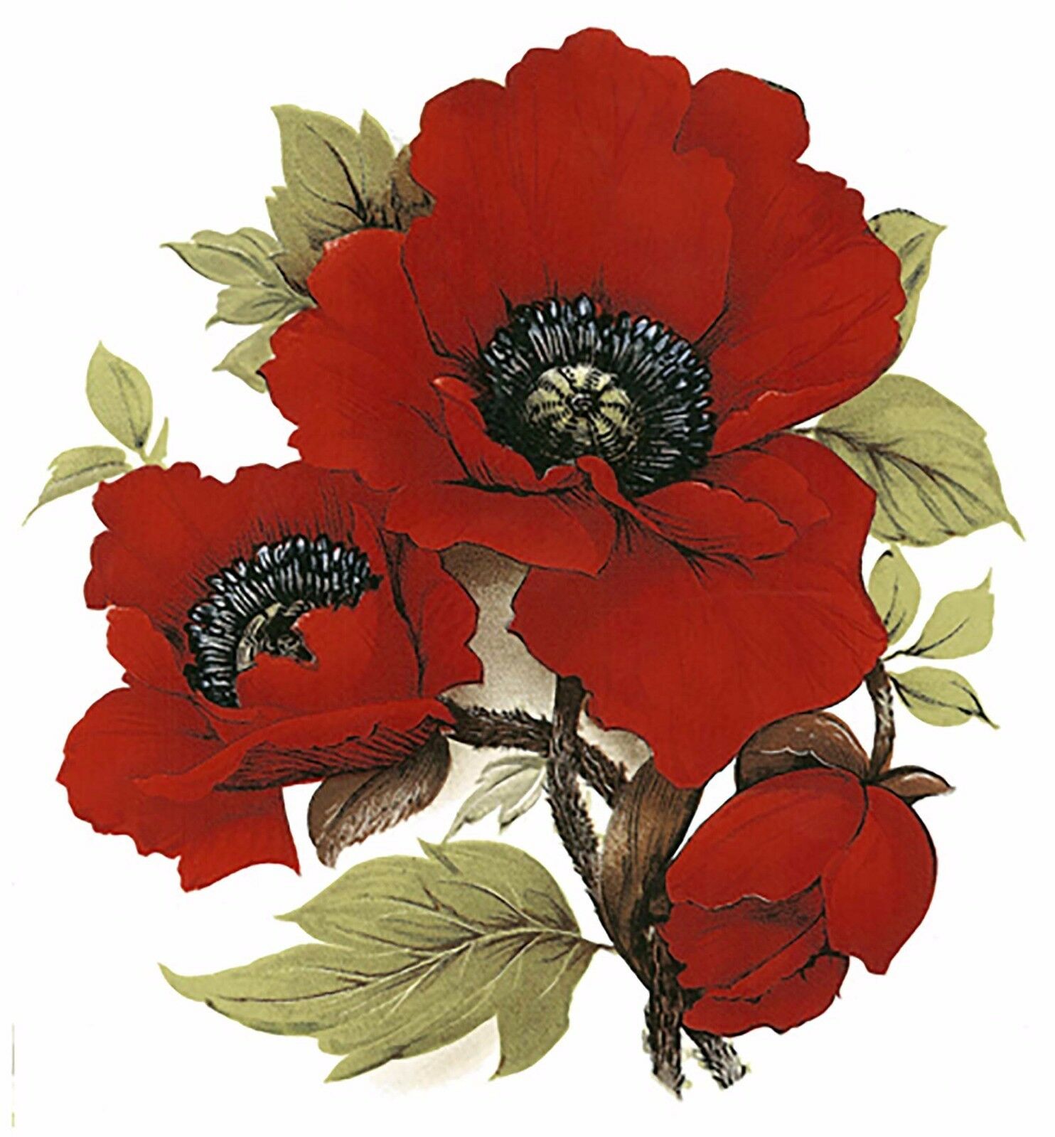 Red Poppy Flower Select-a-size Waterslide Ceramic Decals Bx