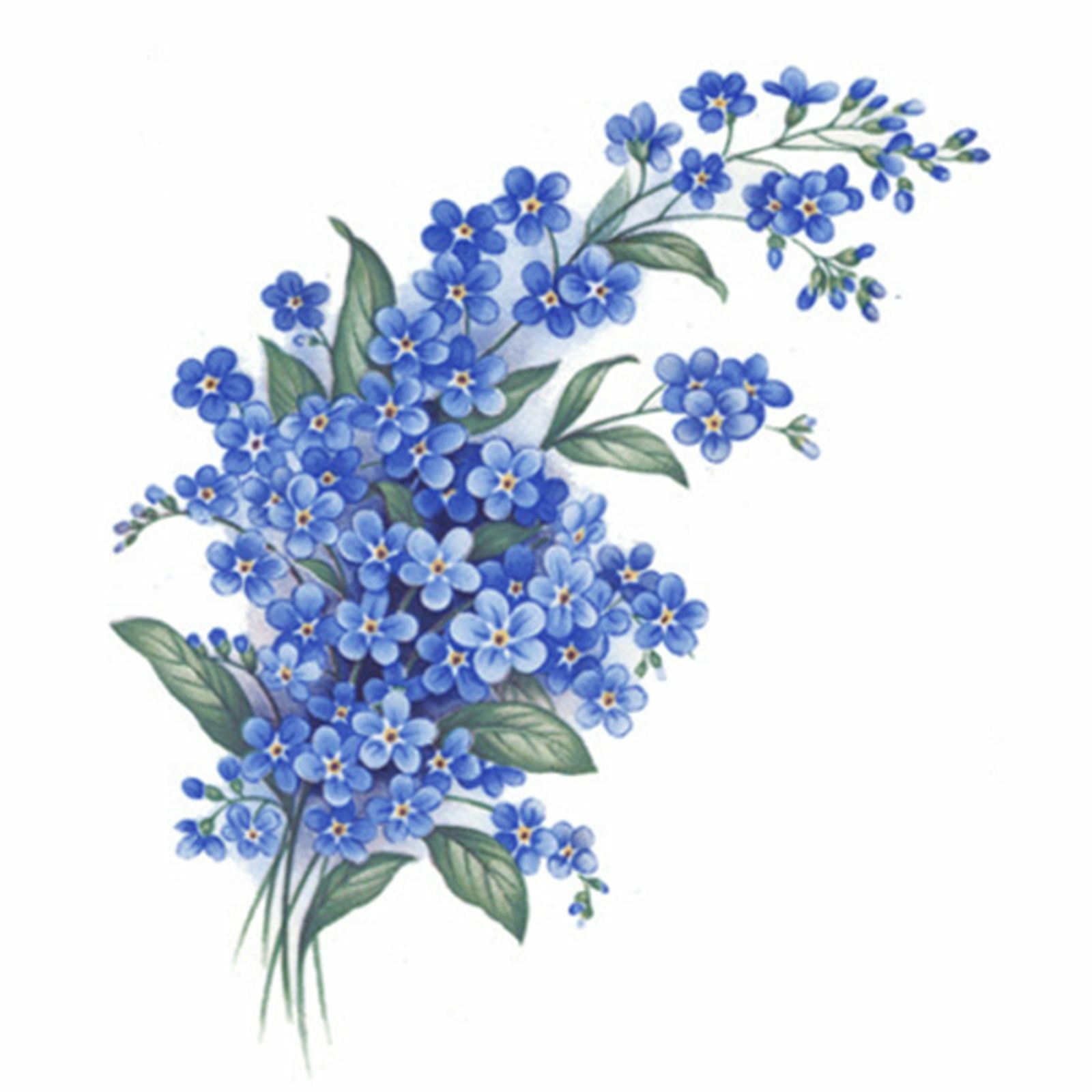 Forget Me Not Knot Blue Flowers Select-a-size Ceramic Waterslide Decals Bx